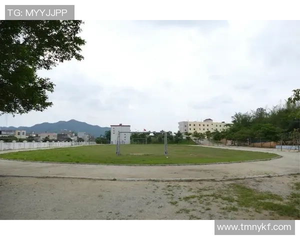 固安足球培训助力青少年成长打造足球梦想的摇篮与未来之路